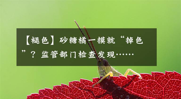【褪色】砂糖橘一摸就“掉色”?监管部门检查发现……