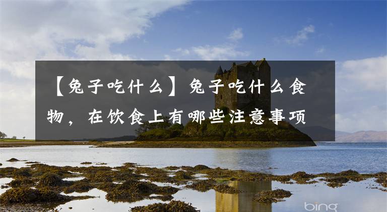 【兔子吃什么】兔子吃什么食物，在饮食上有哪些注意事项