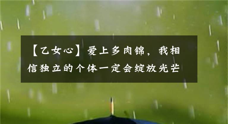 【乙女心】爱上多肉锦，我相信独立的个体一定会绽放光芒