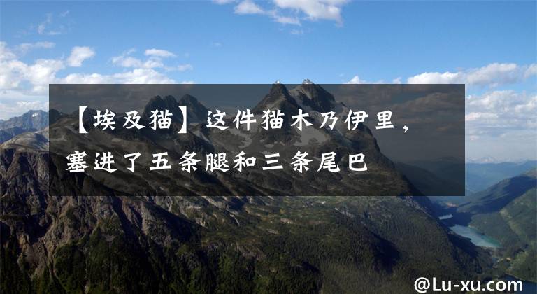 【埃及猫】这件猫木乃伊里，塞进了五条腿和三条尾巴