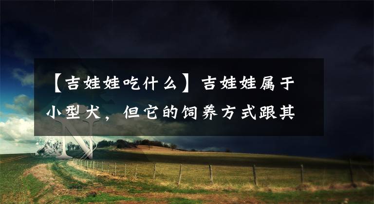 【吉娃娃吃什么】吉娃娃属于小型犬，但它的饲养方式跟其他小型犬一样吗？