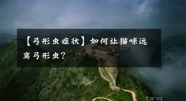 【弓形虫症状】如何让猫咪远离弓形虫？