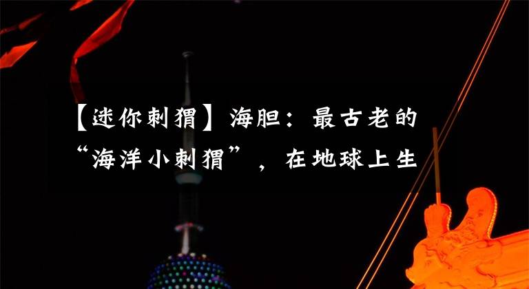 【迷你刺猬】海胆:最古老的“海洋小刺猬”,在地球上生活了上亿年