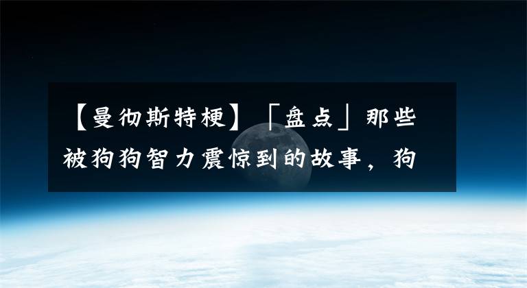 【曼彻斯特梗】「盘点」那些被狗狗智力震惊到的故事，狗狗智商大排名