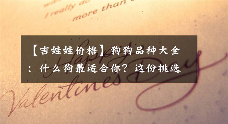 【吉娃娃价格】狗狗品种大全:什么狗最适合你?这份挑选方案供你参考