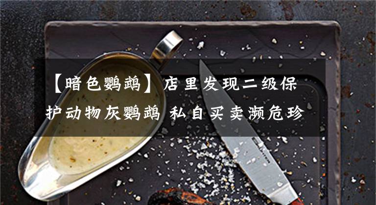 【暗色鹦鹉】店里发现二级保护动物灰鹦鹉 私自买卖濒危珍稀动物不可取