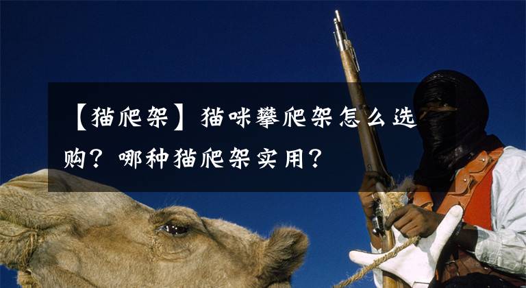 【猫爬架】猫咪攀爬架怎么选购？哪种猫爬架实用？