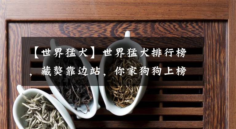 【世界猛犬】世界猛犬排行榜，藏獒靠边站，你家狗狗上榜了吗？