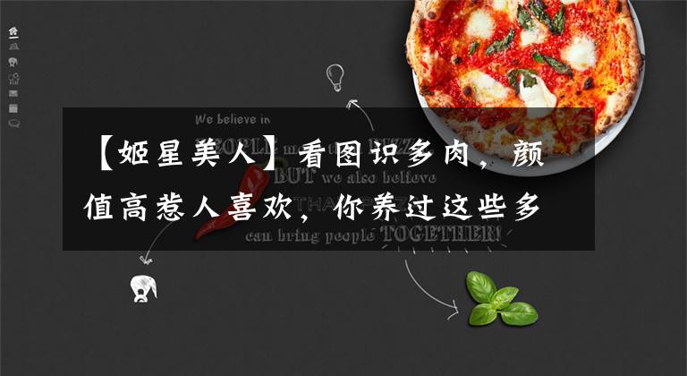 【姬星美人】看图识多肉，颜值高惹人喜欢，你养过这些多肉吗？