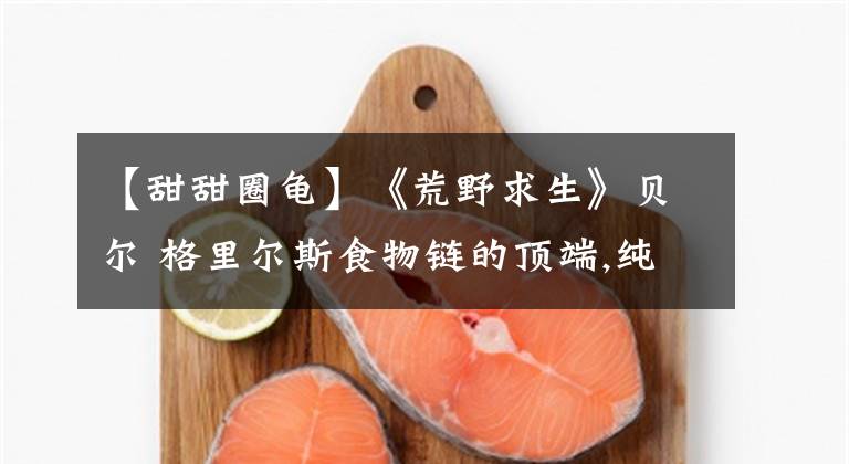 【甜甜圈龟】《荒野求生》贝尔 格里尔斯食物链的顶端,纯爷们