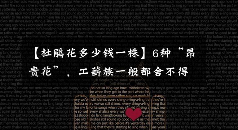 【杜鹃花多少钱一株】6种“昂贵花”，工薪族一般都舍不得买，只能刷刷图片解馋