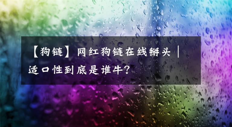 【狗链】网红狗链在线掰头|适口性到底是谁牛?