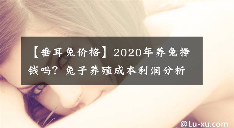 【垂耳兔价格】2020年养兔挣钱吗？兔子养殖成本利润分析