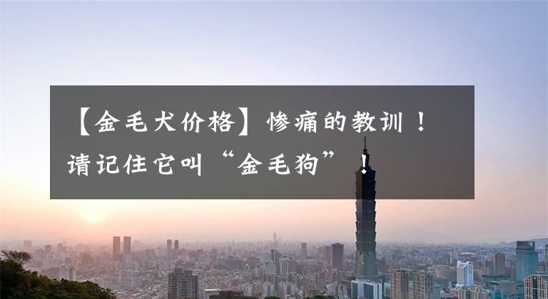 【金毛犬价格】惨痛的教训!请记住它叫“金毛狗”!