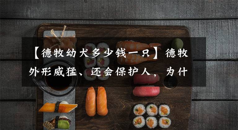 【德牧幼犬多少钱一只】德牧外形威猛、还会保护人，为什么养它的人不多？