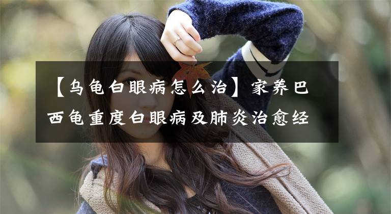 【乌龟白眼病怎么治】家养巴西龟重度白眼病及肺炎治愈经验