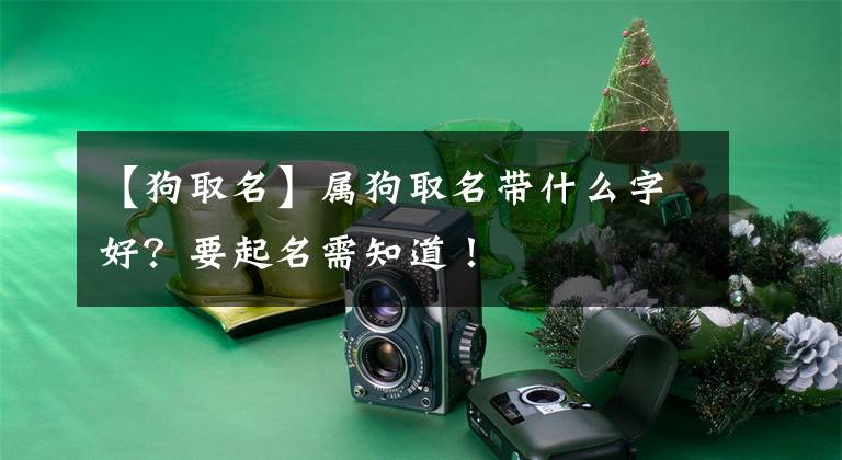 【狗取名】属狗取名带什么字好?要起名需知道!