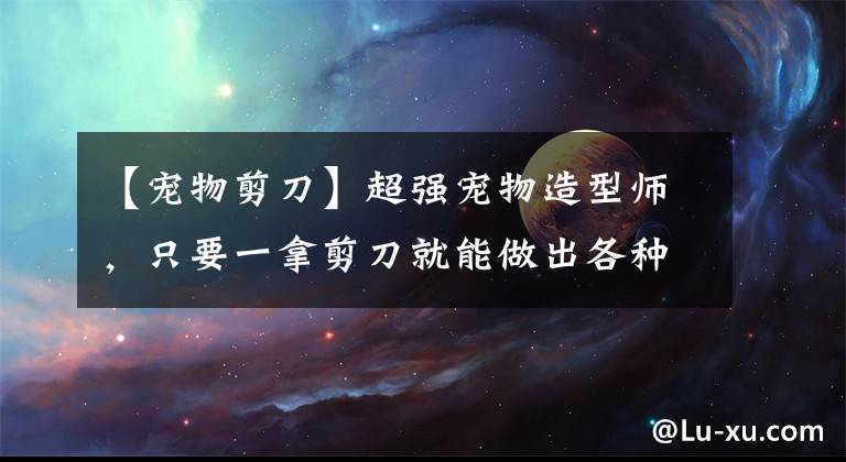 【宠物剪刀】超强宠物造型师，只要一拿剪刀就能做出各种造型，已萌哭！