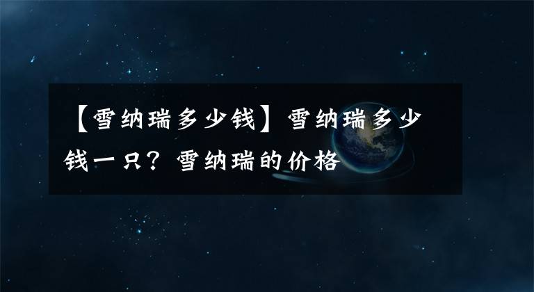 【雪纳瑞多少钱】雪纳瑞多少钱一只?雪纳瑞的价格