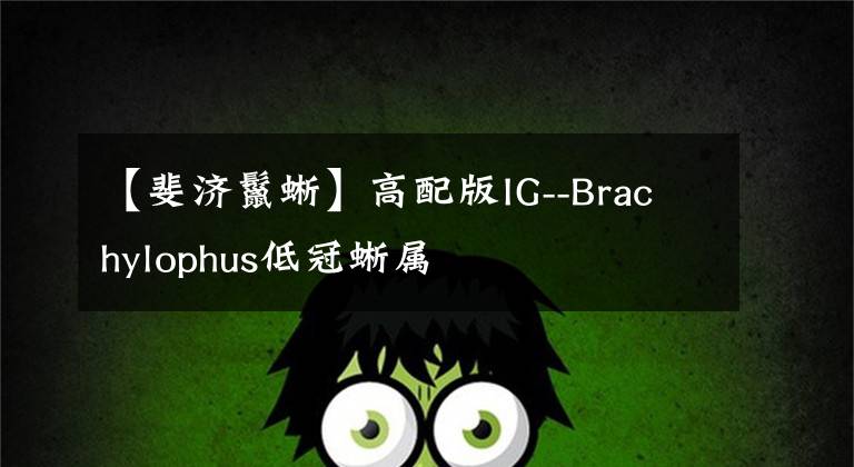 【斐济鬣蜥】高配版IG--Brachylophus低冠蜥属