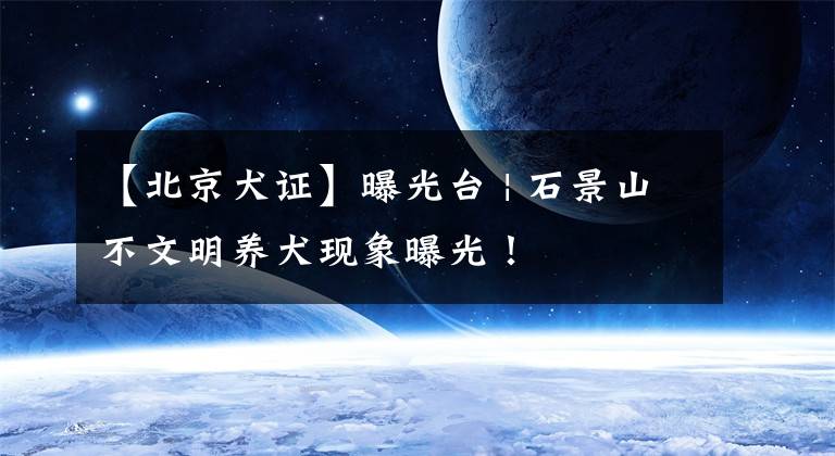 【北京犬证】曝光台 | 石景山不文明养犬现象曝光!