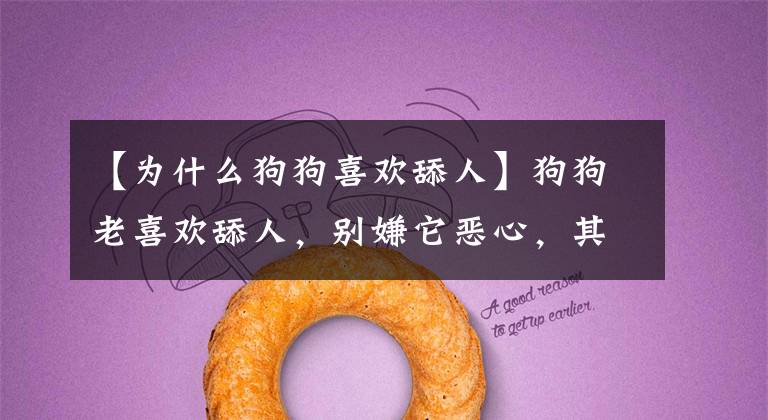 【为什么狗狗喜欢舔人】狗狗老喜欢舔人，别嫌它恶心，其实它是在表达这些意思