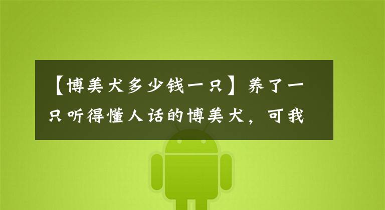 【博美犬多少钱一只】养了一只听得懂人话的博美犬，可我却把它弄丢了
