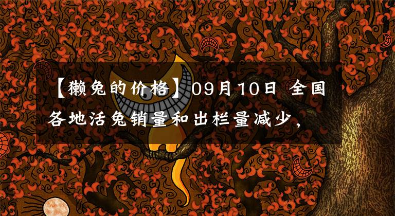 【獭兔的价格】09月10日 全国各地活兔销量和出栏量减少,价格涨跌博弈