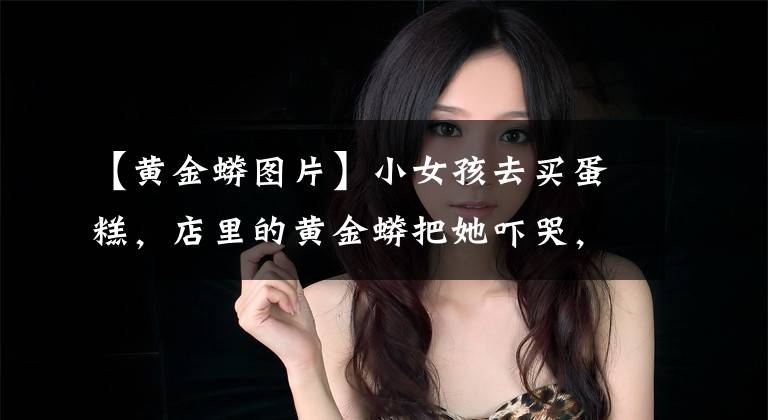 【黄金蟒图片】小女孩去买蛋糕,店里的黄金蟒把她吓哭,下一秒它就悲剧了