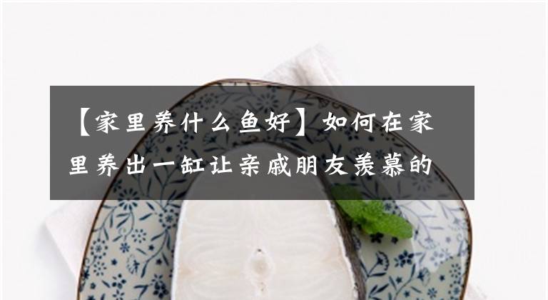 【家里养什么鱼好】如何在家里养出一缸让亲戚朋友羡慕的金鱼？教你2个套路，3个妙招