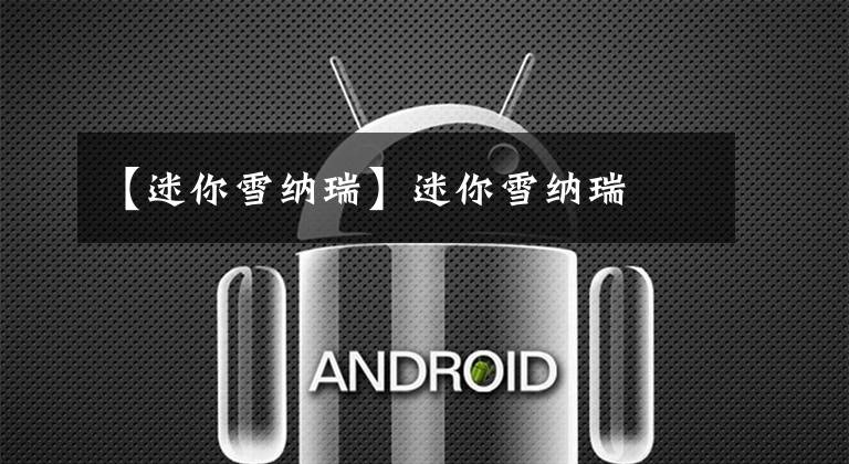 【迷你雪纳瑞】迷你雪纳瑞