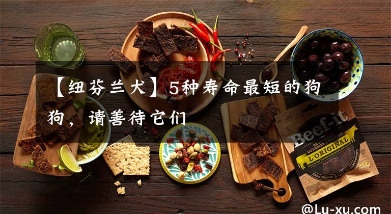 【纽芬兰犬】5种寿命最短的狗狗,请善待它们