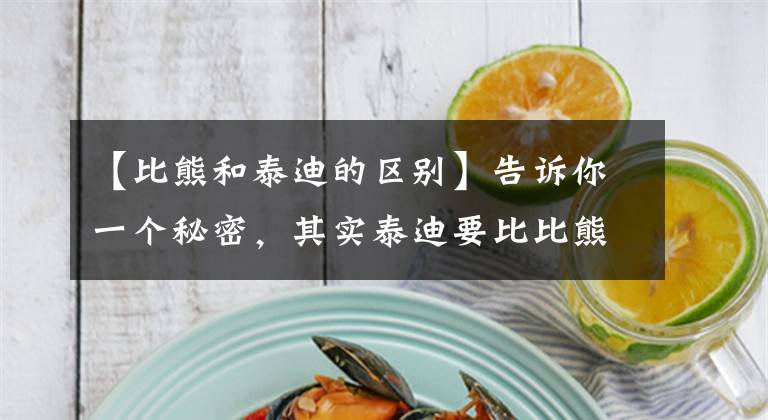 【比熊和泰迪的区别】告诉你一个秘密,其实泰迪要比比熊犬更好养