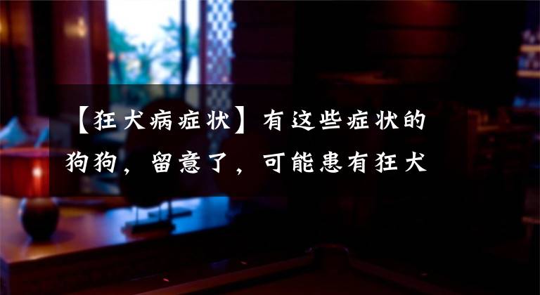 【狂犬病症状】有这些症状的狗狗，留意了，可能患有狂犬病！