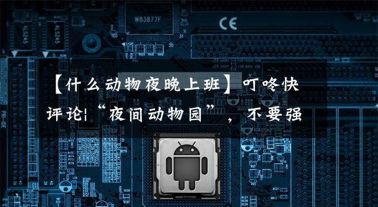 【什么动物夜晚上班】叮咚快评论|“夜间动物园”,不要强迫动物们也“夜间经济”