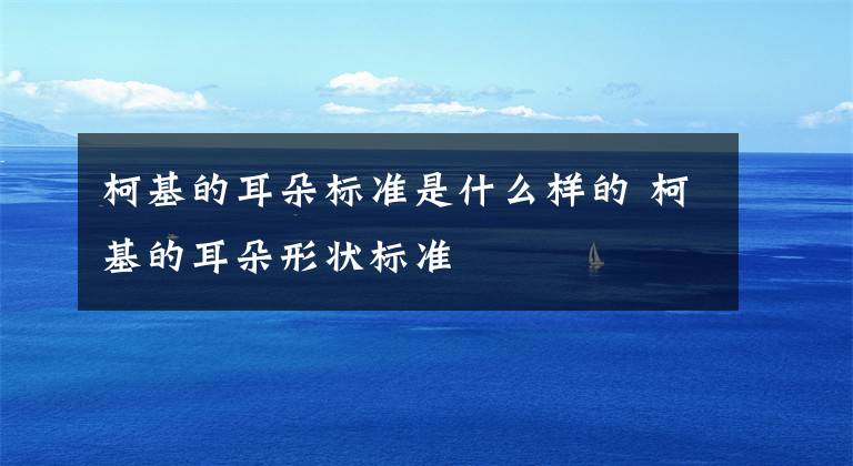 柯基的耳朵标准是什么样的 柯基的耳朵形状标准