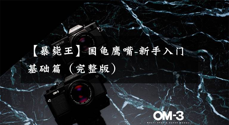 【暴毙王】国龟鹰嘴-新手入门基础篇（完整版）