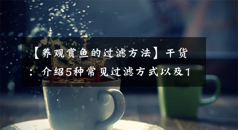 【养观赏鱼的过滤方法】干货：介绍5种常见过滤方式以及10种常见滤材～