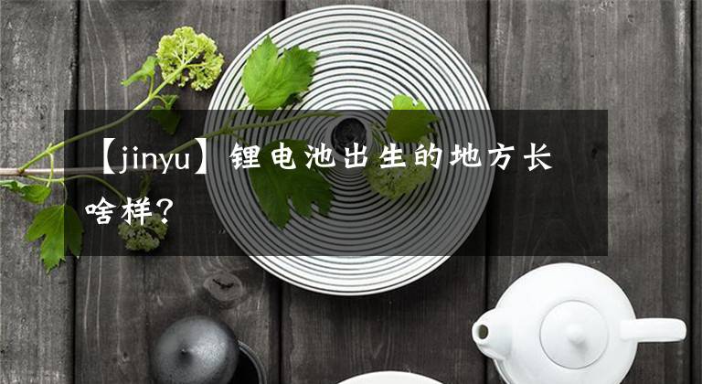 【jinyu】锂电池出生的地方长啥样?