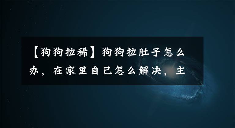 【狗狗拉稀】狗狗拉肚子怎么办，在家里自己怎么解决，主人怎么判断