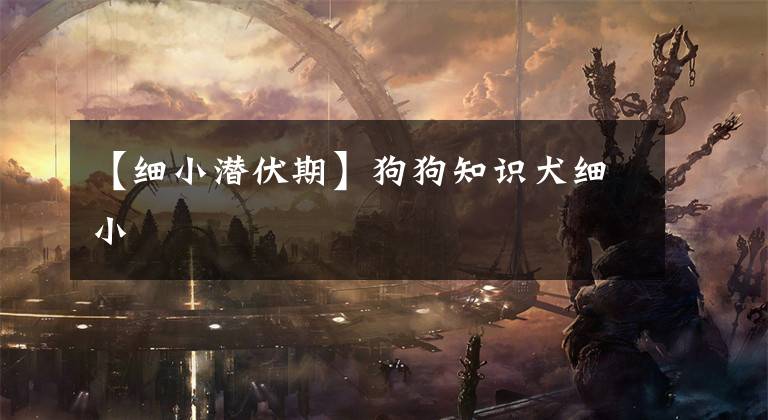 【细小潜伏期】狗狗知识犬细小
