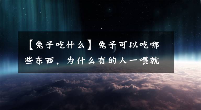 【兔子吃什么】兔子可以吃哪些东西,为什么有的人一喂就死了?