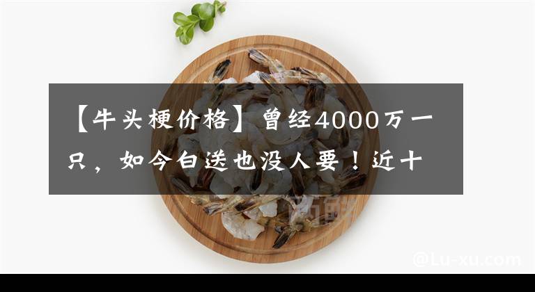 【牛头梗价格】曾经4000万一只，如今白送也没人要！近十年最大泡沫，让无数人血本无归