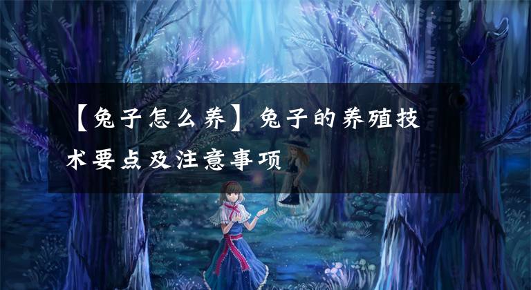 【兔子怎么养】兔子的养殖技术要点及注意事项