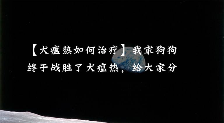 【犬瘟热如何治疗】我家狗狗终于战胜了犬瘟热，给大家分享治疗过程