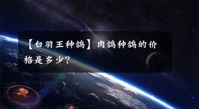 【白羽王种鸽】肉鸽种鸽的价格是多少？