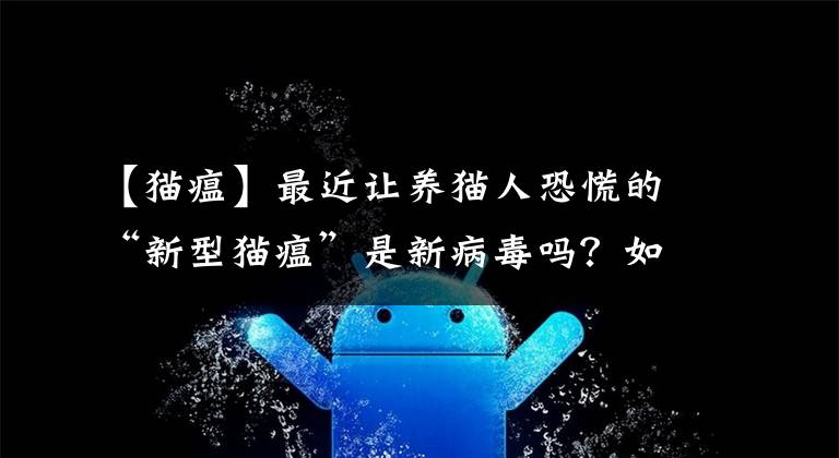 【猫瘟】最近让养猫人恐慌的“新型猫瘟”是新病毒吗?如何预防?听听宠医怎么说