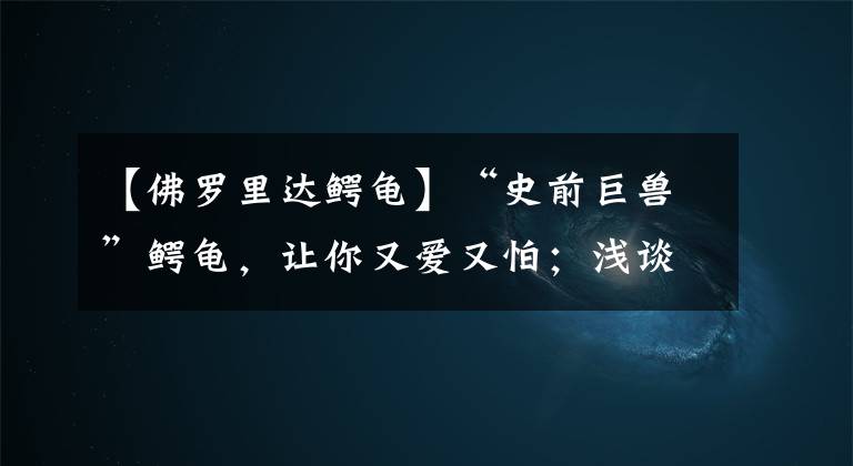 【佛罗里达鳄龟】“史前巨兽”鳄龟,让你又爱又怕;浅谈佛鳄和北美鳄龟的区别