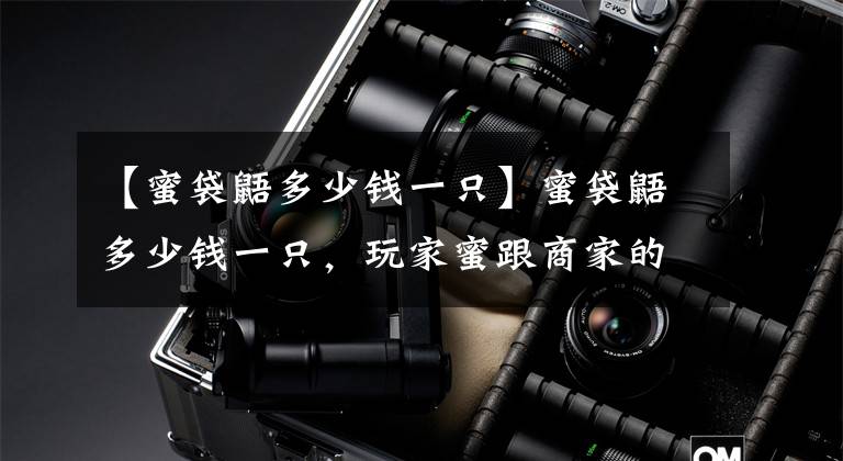 【蜜袋鼯多少钱一只】蜜袋鼯多少钱一只，玩家蜜跟商家的差异