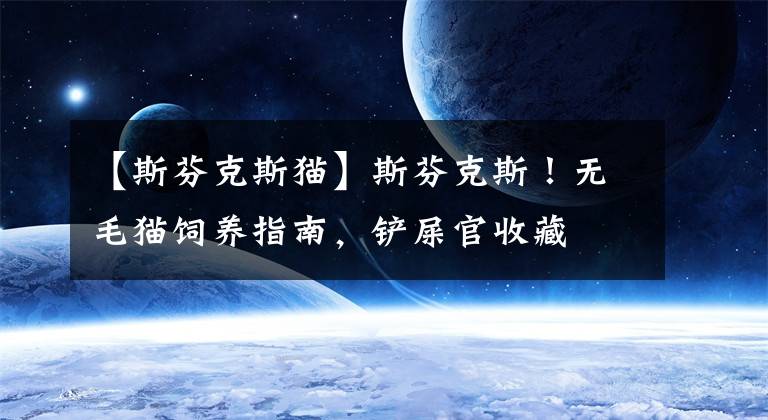 【斯芬克斯猫】斯芬克斯!无毛猫饲养指南,铲屎官收藏